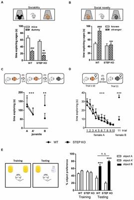 Social Memory and Social Patterns Alterations in the Absence of STriatal-Enriched Protein Tyrosine Phosphatase